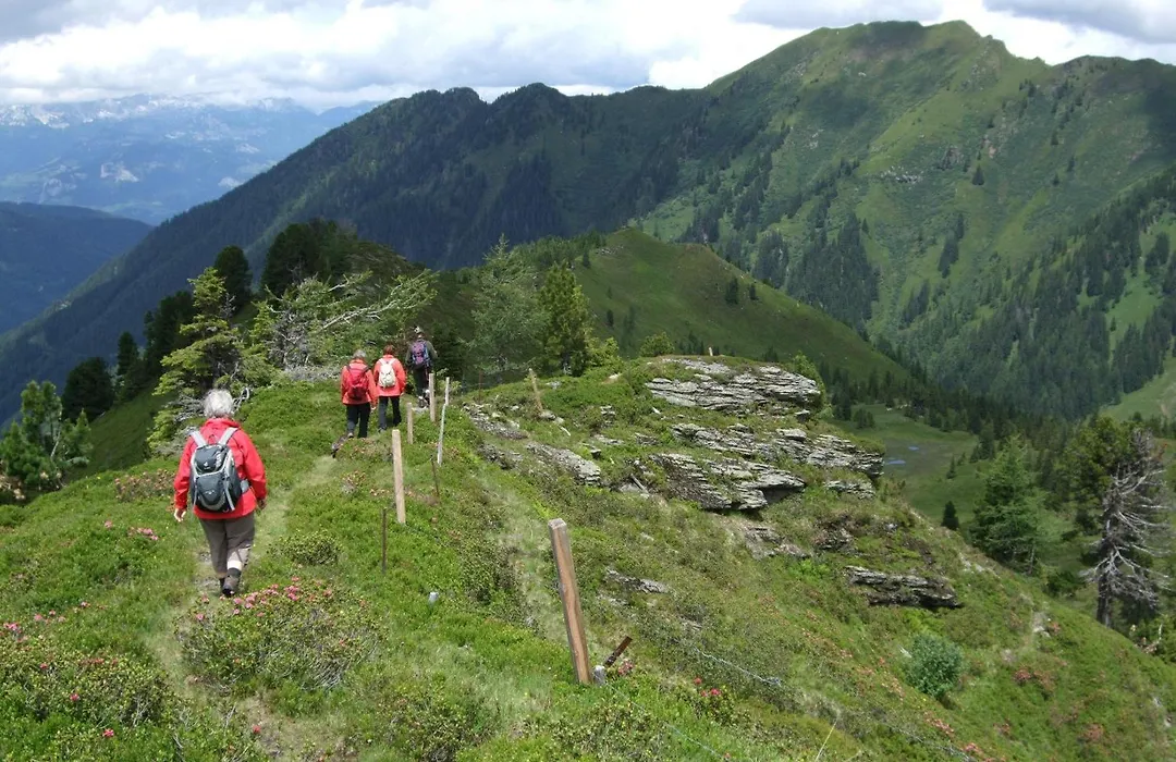 Gasthof zur Gams-1